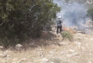 آتش‌سوزی در منطقه حفاظت شده تنگ بستانک مهارشد