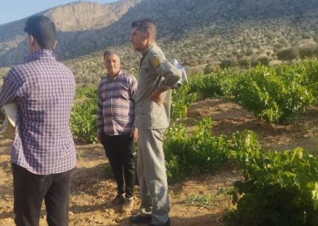 آموزش و فرهنگ سازی حفاظت از گونه خرس قهوه ای در منطقه روستای امام زاده اسماعیل شهرستان اقلید