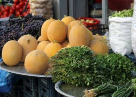 کشت ۵۶ هزار هکتار سبزی و صیفی در فارس؛ گوجه فرنگی، سیب زمینی و پیاز عمده ترین محصولات تولیدی فارس