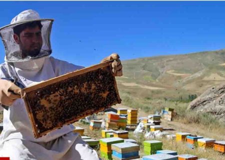 طرح ملی سرشماری زنبورستان‌های بیضا همزمان با دیگر نقاط کشور آغاز شد