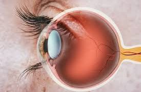 سلول های بنیادی نویدی برای احیای بینایی