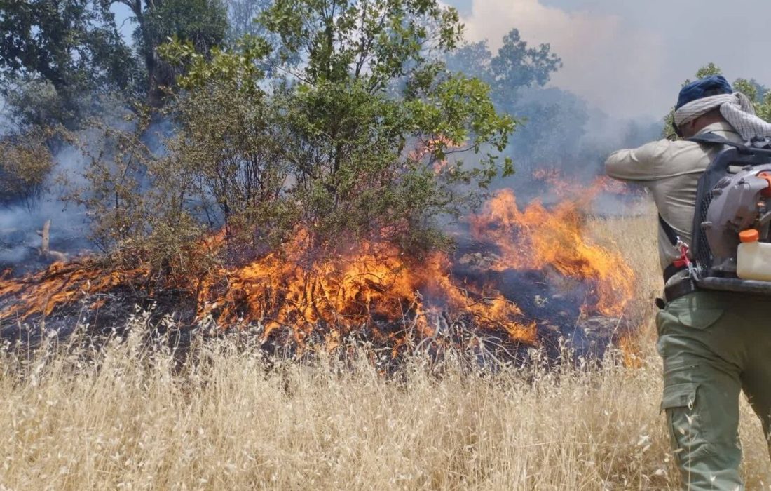 مهار آتش سوزی در منطقه حفاظت شده پارک ملی بمو