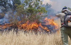 مهار آتش در جنگل‌های منطقه کوه سیاه شهرستان رستم