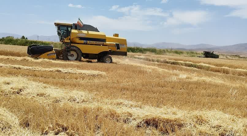 خوزستان تامین کننده گندم ۱۲ میلیون نفر در کشور است