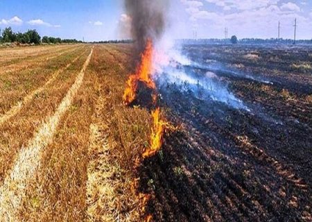 سوزاندن بقایای کشاورزی پس از برداشت ممنوع است