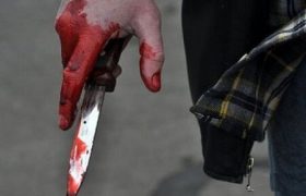 قتل نوعروس با ۲۰ ضربه چاقو به خاطر شیربها در گلشهر