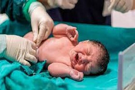 تولد روزانه ۱۳ نوزاد طی بهار در بیمارستان شوشتری شیراز