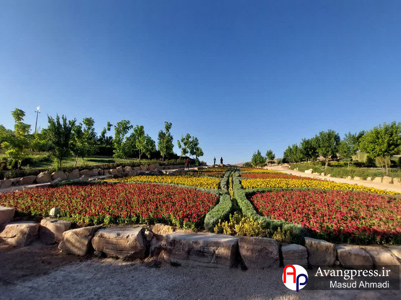 گزارش تصویری / باغ گلهای شیراز دارای گونه های زیبای گل ها و درختان زیبا