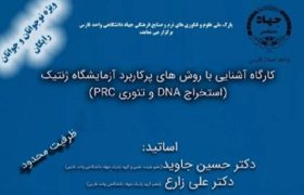 کارگاه آشنایی با روش‌های پرکاربرد آزمایشگاه ژنتیک در شیراز برگزار می شود
