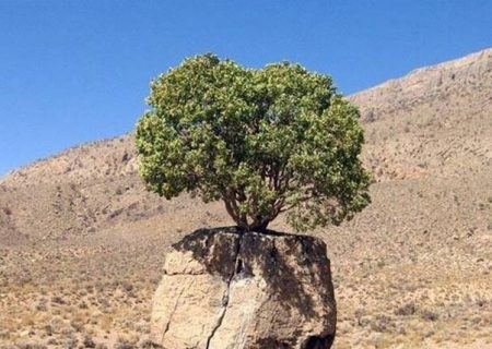 ثبت ملی ۲ اثر طبیعی ارسنجان