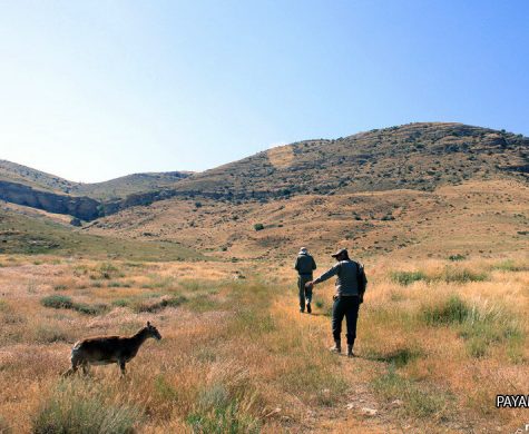 نامگذاری یک بلوار در شهرک سامان شیراز به نام شهدای محیط بان