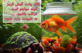 رهاسازی گونه‌های غیربومی در طبیعت ممنوع!