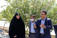 از اجرای ۱۲۰ پروژه تا افتتاح یک باغ بانوان طی دو ماه آینده در منطقه ۵ شیراز