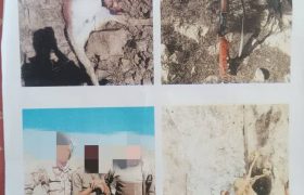 عکس های شکار درون گوشی تلفن همراه، جرایم شکارچیان متخلف شهرستان قیروکارزین را دوچندان کرد