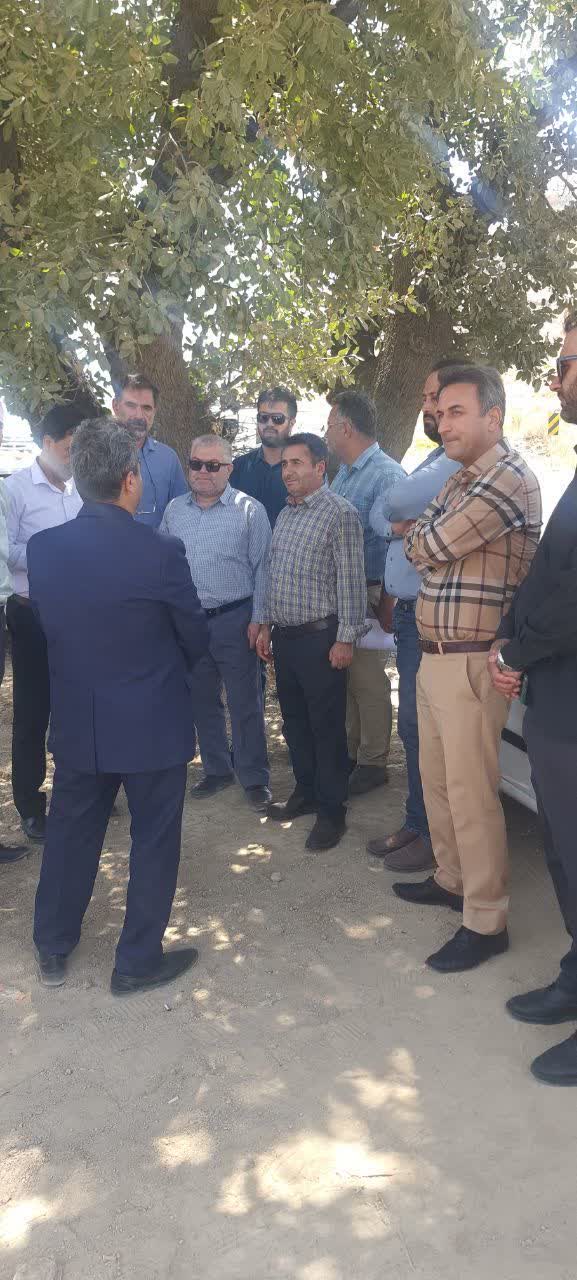 از قطع سه درخت بلوط در طرح تعریض کمربندی شیراز جلوگیری به عمل آمد