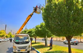 نصب اِلمان های نوری در معابر شهر صدرا