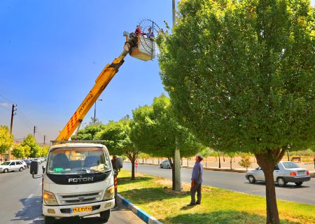 نصب اِلمان های نوری در معابر شهر صدرا