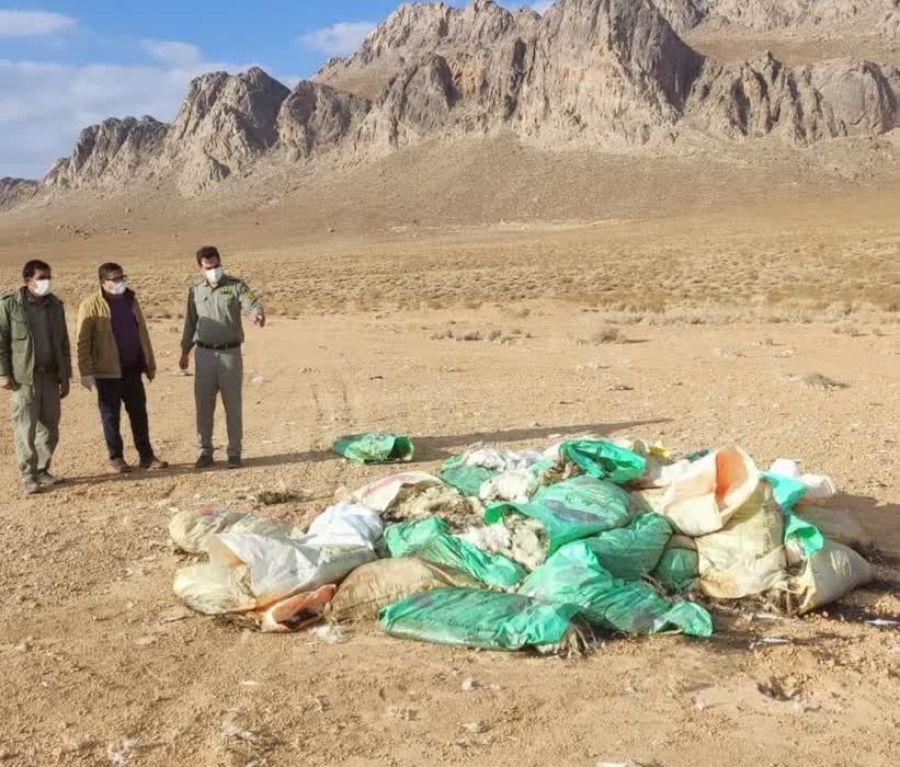 مرغداری متخلف لاشه دوهزار قطعه مرغ تلف شده را در مناطق زیست محیطی بوانات رها کرد