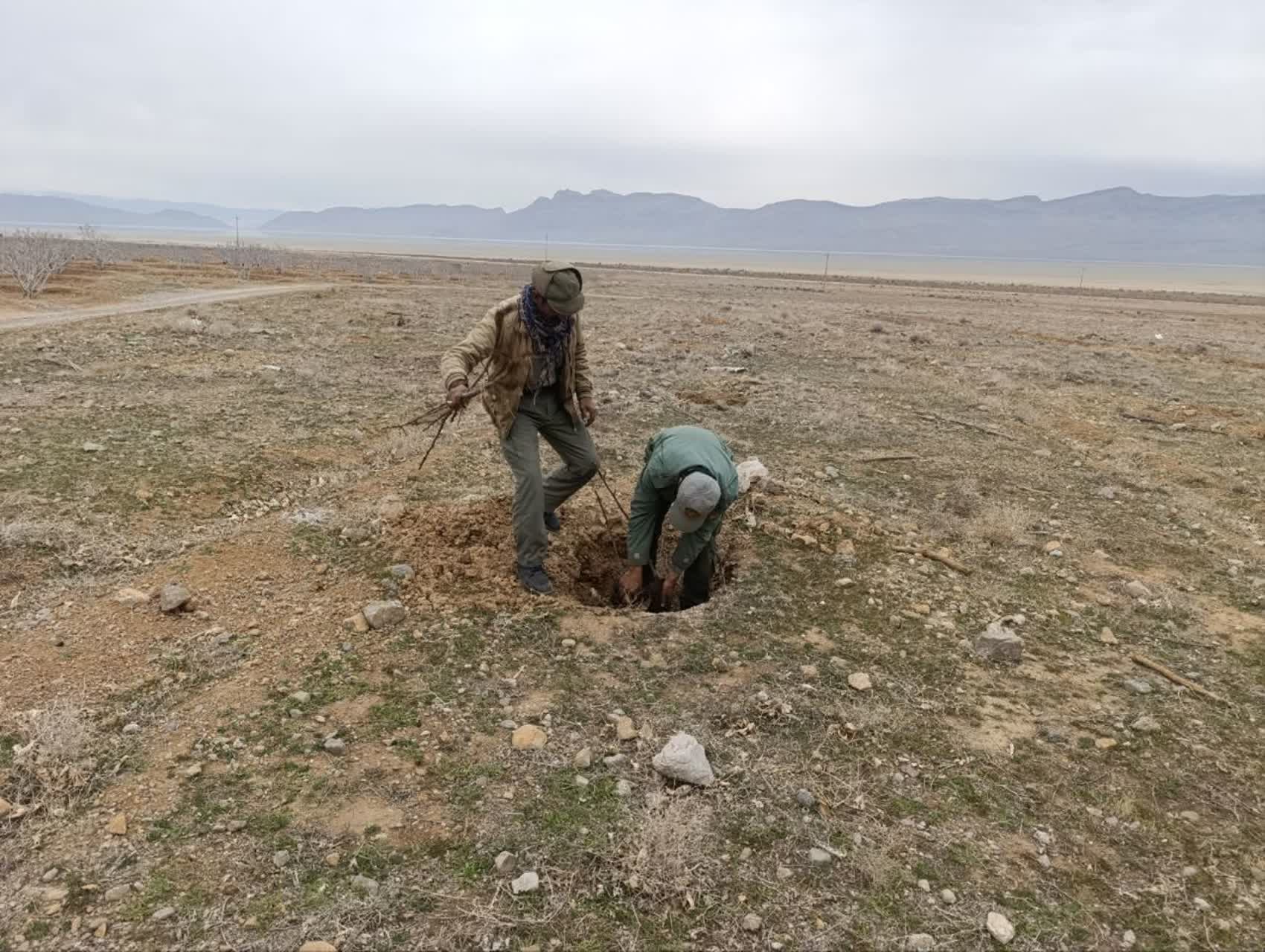 رفع تصرف و قلع و قمع نهال های تازه کاشته در اراضی ملی پناهگاه حیات وحش بختگان در شهرستان استهبان