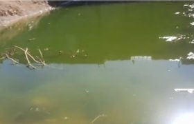 آبگرفتگی در محل گودبرداری محله وزیرآباد شیراز اهالی را به دردسر انداخت + فیلم