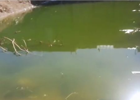 آبگرفتگی در محل گودبرداری محله وزیرآباد شیراز اهالی را به دردسر انداخت + فیلم