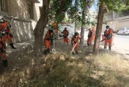 پاکسازی علف‌های هرز در قالب پویش “نجات طبیعت” به منظور پیشگیری از آتش‌سوزی در مناطق یازده‌گانه شهرداری شیرا