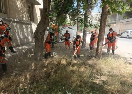 پاکسازی علف‌های هرز در قالب پویش “نجات طبیعت” به منظور پیشگیری از آتش‌سوزی در مناطق یازده‌گانه شهرداری شیرا