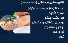 اینفوگرافیک/ علائم بیماری تب دانگی