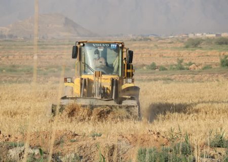 امحاء بیش از هزار هکتار از مزارع آلوده در شیراز