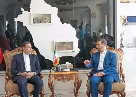کاهش ۱۸ درصدی سرقت در کشور با تشکیل شورای پیشگیری از وقوع جرم