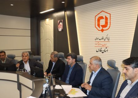 تصویب طرح‌های هادی روستایی ۷ شهرستان فارس در نشست استانی بنیاد مسکن