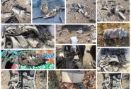آسمان کشور، در پناه پدافند هوایی مقتدر/ انهدام ۴ پهباد رژیم صهیونیستی در آسمان فارس