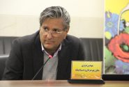 راه اندازی ۱۸نیروگاه خورشیدی در شرکت توزیع نیروی برق شیراز/ سرمایه گذاری ویژه دولت برای ترویج انرژی های پاک
