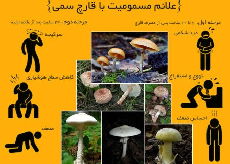اینفوگرافیک / علایم مسمومیت با قارچ سمی