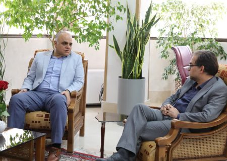 هم‌افزایی بخش خصوصی و سازمان صمت فارس، کلید توسعه متوازن اقتصاد استان