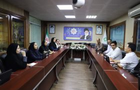 نخستین گام ملی برای حفاظت از خرس قهوه‌ای در فارس؛ راه‌اندازی مرکز “بازوحشی‌سازی” در دستور کار