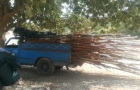 روستای سبوک نیازمند طرح جامع گردشگری؛ آلاچیق‌های غیرمجاز در حریم رودخانه جمع‌آوری شد