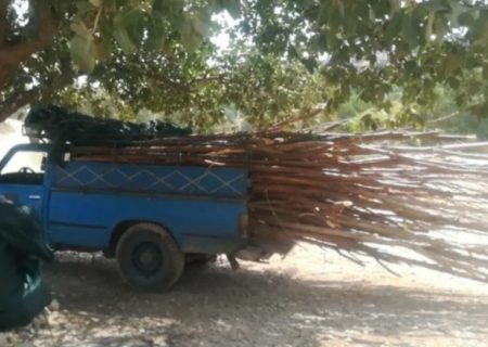 روستای سبوک نیازمند طرح جامع گردشگری؛ آلاچیق‌های غیرمجاز در حریم رودخانه جمع‌آوری شد