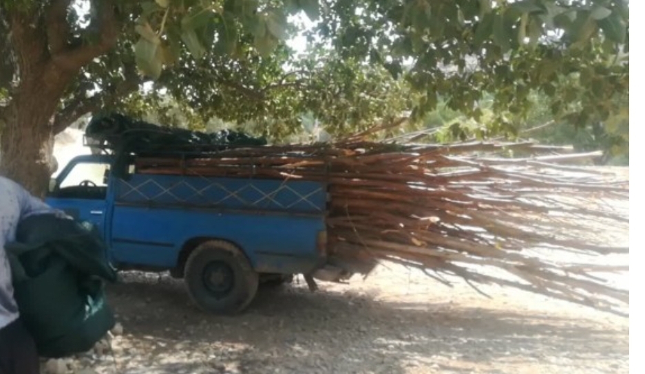 روستای سبوک نیازمند طرح جامع گردشگری؛ آلاچیق‌های غیرمجاز در حریم رودخانه جمع‌آوری شد