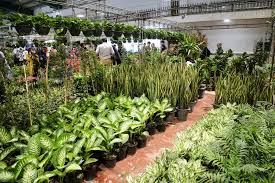 برگزاری بیستمین نمایشگاه تخصصی گل و گیاه در شیراز