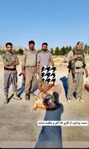 دستگیری ۴ گروه شکارچی، طی یک هفته در پارک ملی بمو شیراز