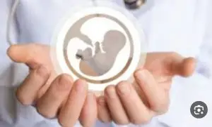 اهمیت جوانی جمعیت از زبان مدیرگروه معارف اسلامی دانشگاه علوم پزشکی شیراز