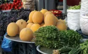 ریزمغذی هایی که برای بدن انسان ضروری هستند