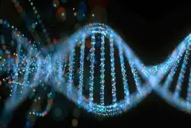 دی‌ان‌ای تصمیم‌گیری کشف شد