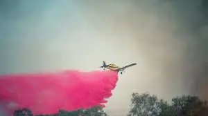 هشدار درباره تقلای اسرائیل برای الحاق مناطق حفاظت شده طبیعی کرانه باختری