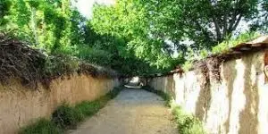 احیای باغ‌های آسیب دیده شیراز با آبیاری و رسیدگی ویژه آغاز شد