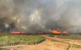 آلبرتا برای مهار آتش از ارتش کانادا کمک خواست