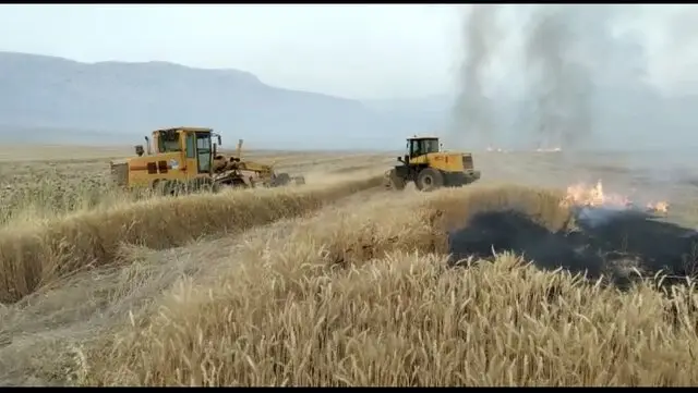 جزای نقدی و حبس در انتظار کشاورزانی که بقایای محصولات را آتش بزنند