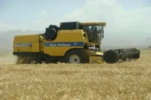 آغاز برداشت جو از سطح ۳۵ هزار هکتاراز اراضی شهرستان مرودشت