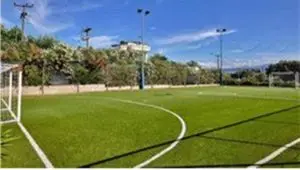 تاج: ۲۸میلیون دلار پول بلوکه‌شده در فیفا داریم/ از ۹ دستگاه برای ترمیم چمن آزادی دعوت کرده‌ایم